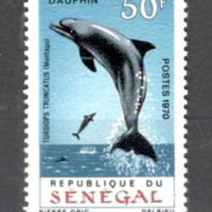 Senegal.1970 Fauna marina-Delfini MS.107