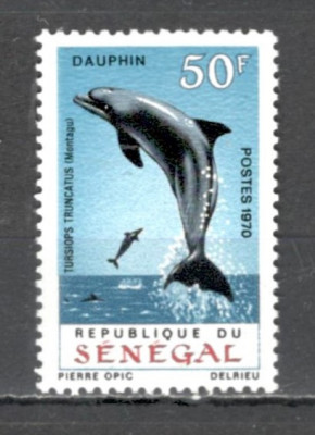 Senegal.1970 Fauna marina-Delfini MS.107 foto