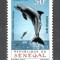 Senegal.1970 Fauna marina-Delfini MS.107