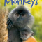 Monkeys - Carte Usborne (4+)