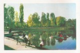 RF56 -Carte Postala- Campina, Vedere din parc, circulata