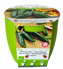 Kit Cultivare Ardei Mexican Jalapeno Ecologic/Bio foto