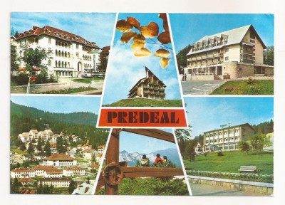 RF49 -Carte Postala- Predeal, circulata 1980 foto