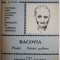 Bacovia. Plumb. Scintei galbene &ndash; Adriana Mitescu (texte comentate)