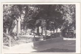 Bnk foto Tebea - Mormantul lui Avram Iancu, Alb-Negru, Romania de la 1950, Cladiri