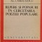 Repere si popasuri in cercetarea poeziei populare - 1989 - Al. I. Amzulescu (xx747)
