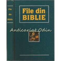 File Din Biblie - Literatura Artistica - Chisinau