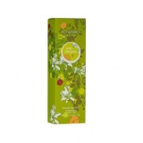 Jean-Louis Scherrer Pop Delights 01 Eau de Toilette for women 100 ml