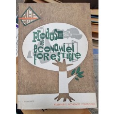 I. Nicolescu - Produse ale Economiei Forestiere