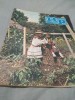 REVISTA ROMANIA PITOREASCA NR.8 AUGUST 1988