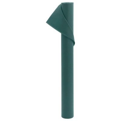 Husă de fleece pentru plante 70 g/m&amp;sup2; 10x1,6 m foto