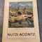 Nutzi Acontz de Georgeta Peleanu