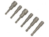 Kit Capete de Șurubelniță Hexagonale 66mm 6 Bucăți