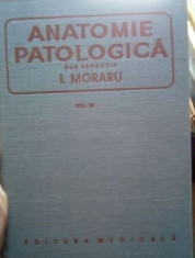 Anatomie patologica &amp;amp;#8211; I. Moraru foto