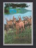 KOREA 2010 FAUNA MI.BL.770 MNH, Nestampilat