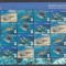 Penrhyn - Fauna WWF - TESTOASE - MNH - Michel 50 Eur.