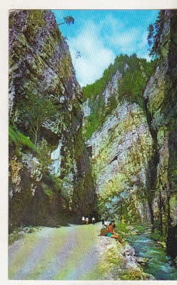 bnk cp Cheile Dambovicioarei - Vedere - necirculata foto
