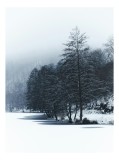 Tablou Canvas, "Copaci &icirc;nghețați pe malul lacului", Iarnă, Pădure, Zăpadă, Liniște, Apă &Icirc;nghețată, Copaci, Norii, Peisaj, Umbre, Frig, 26 x 39 cm, CMC