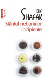 Sf&acirc;ntul nebuniilor incipiente (Top 10+) - Paperback brosat - Elif Shafak - Polirom
