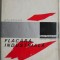 Flacara industriala &ndash; Adrian Stambuleanu