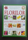 Enciclopedia ilustrată a florilor și florei sălbatice - Mick Lavelle