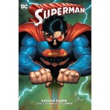 Cumpara ieftin Superman: Savage Dawn