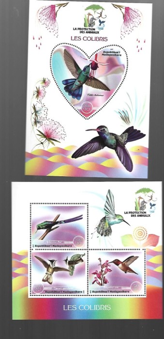 madagaskar pasari mnh