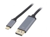 Adaptor DisplayPort 1.2 USB 3.2 USB C CUA0100, Logilink