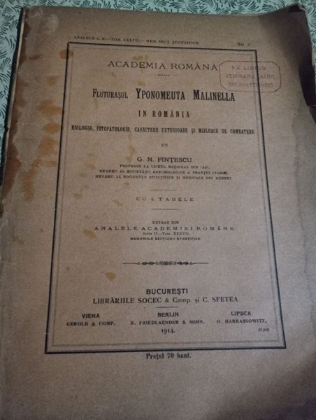 G. N. Fintescu - Fluturasul Yponomeuta Malinella in Romania