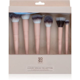 SOSU Cosmetics Luxury Brush Face Collection set perii machiaj faciale 6 buc