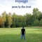 Dreamscape Voyage