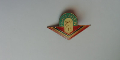 QW9 K 82 - Insigna - tematica pionieri - Pionier sportiv locul II foto