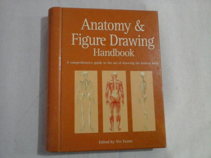 ANATOMY &amp; FIGURE DRAWING HANDBOOK - A COMPREHENSIVE GUIDE TO THE ART OF DRAWING THE HUMAN BODY