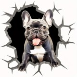 Cumpara ieftin Sticker Auto, French Bulldog, 30 cm, 13004ST, Oem