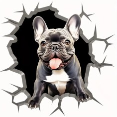 Sticker Auto, French Bulldog, 30 cm, 13004ST foto