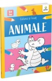 Colorez si invat. Animale, Autor Anonim
