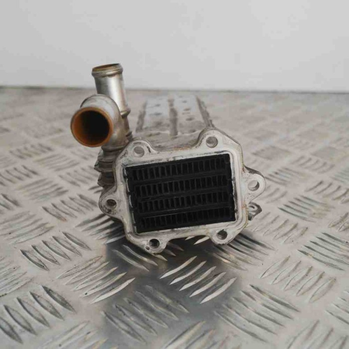 Răcitor EGR VW PASSAT B6 3C2 2006 OEM: 038131513AD