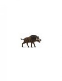 Figurina Dinozaur Daeodon Delu-e Collecta