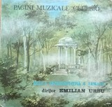 Disc Vinil- Muzica Reprezentativă A Armatei dirijor Emilian Ursu - Pagini Muzicale Celebre - Electrecord ST-EXE 03415