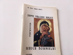 PR. PROF. VASILE MIHOC, SAPTE TALCUIRI BIBLICE DESPRE MAICA DOMNULUI foto