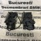 Broasca incuietoare capota stanga dreapta originala BMW F20,F30,F31,F36