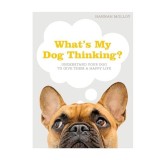 What's My Dog Thinking?