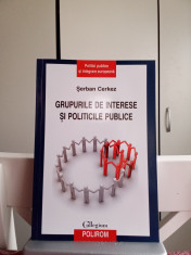 GRUPURILE DE INTERESE ȘI POLITICILE PUBLICE foto