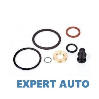 Oringuri injector Audi A6 (1997-2001) [4B, C5] foto