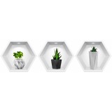 Sticker Plante 3D - Nise Hexagon in Perete