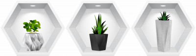 Sticker Plante 3D - Nise Hexagon in Perete foto