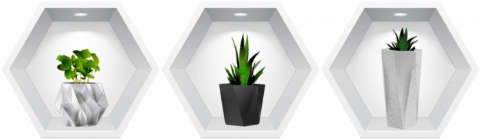 Sticker Plante 3D - Nise Hexagon in Perete