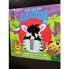 Mais qui est Cache? (Dar ce se ascunde in carte? - carte in limba franceza)