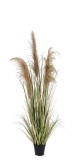 Cumpara ieftin Pampas artificial in ghiveci 55x145 cm
