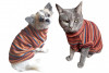 Pulover pentru caini si pisici Petas orange stripe, marimi XS,S,M,L,XL